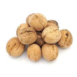 گردو با پوست  فله